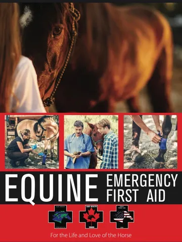 Equine Emergency First Aid Course