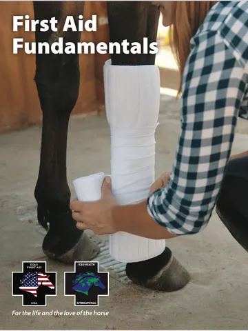 Equine First Aid Fundamentals